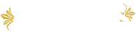 Servizi